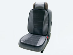 Car cushion
