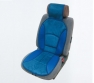 Car cushion
